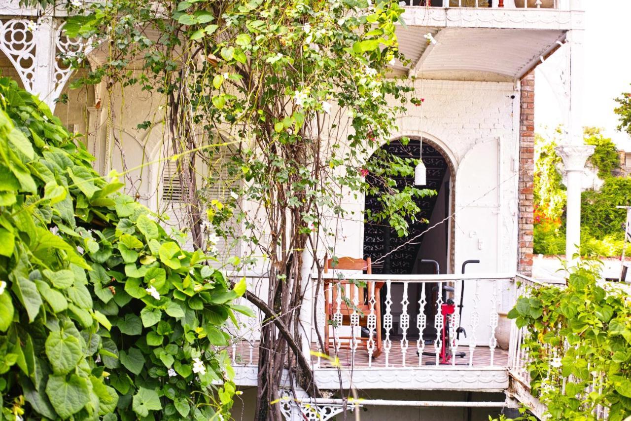 Hotel Florita 雅克梅勒 外观 照片