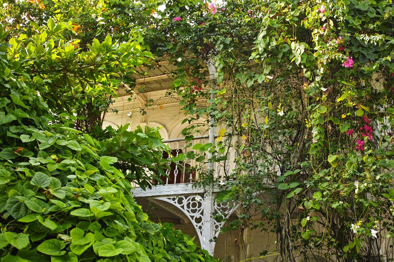 Hotel Florita 雅克梅勒 外观 照片